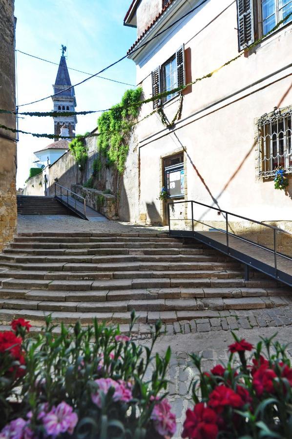 Max Piran Bed and Breakfast Buitenkant foto